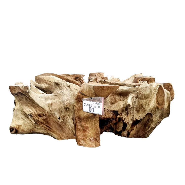 Wurzeltisch 100 x 100 cm