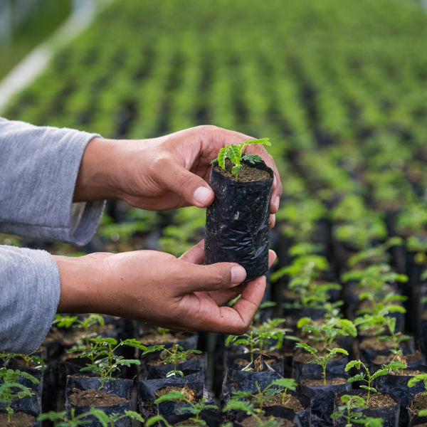 Nachhaltige Möbel bei Exotischerleben