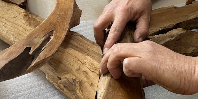 Hochwertige Möbel aus Wurzeln hier online kaufen