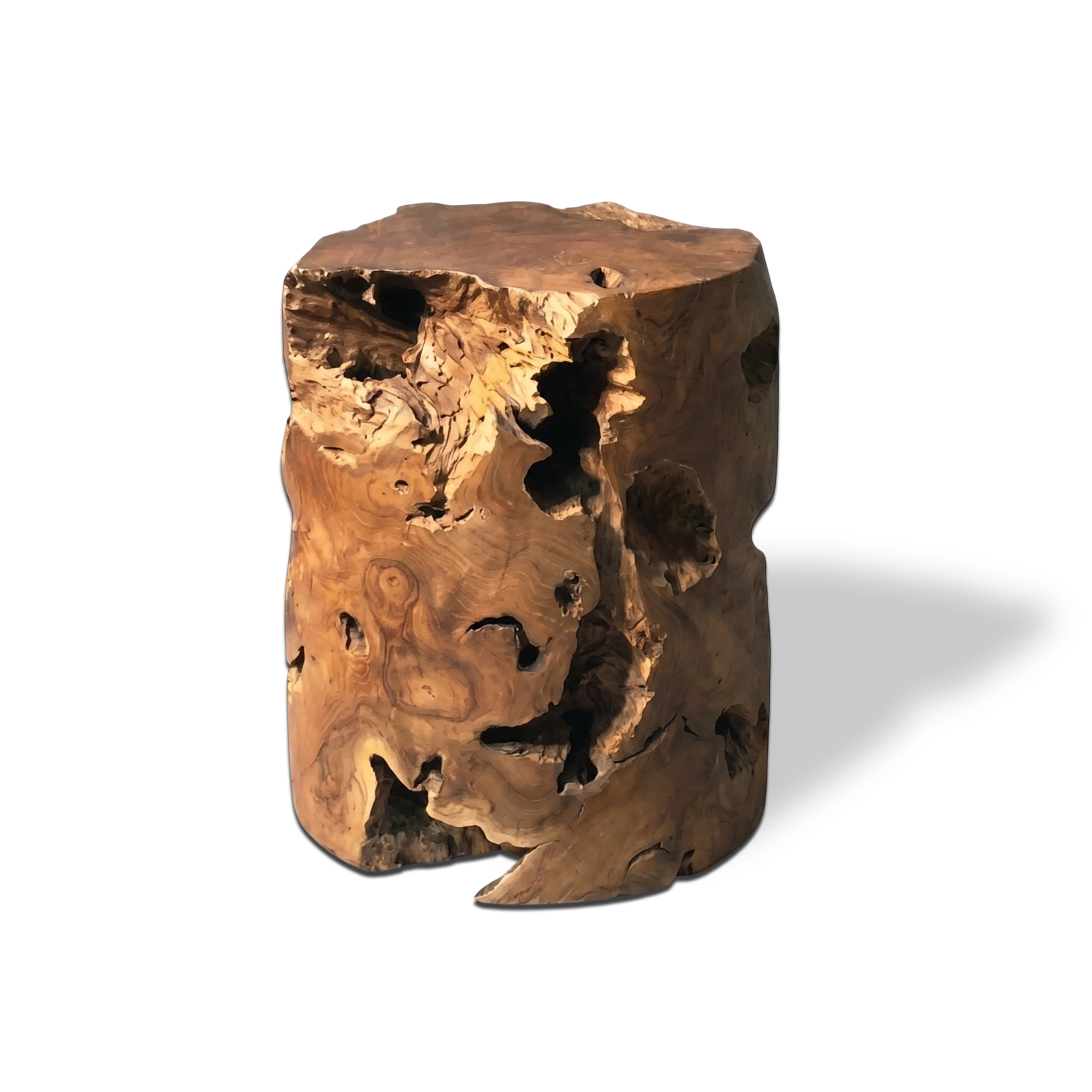 Design Wurzel Holzsäule NAGA | Höhe 40 cm
