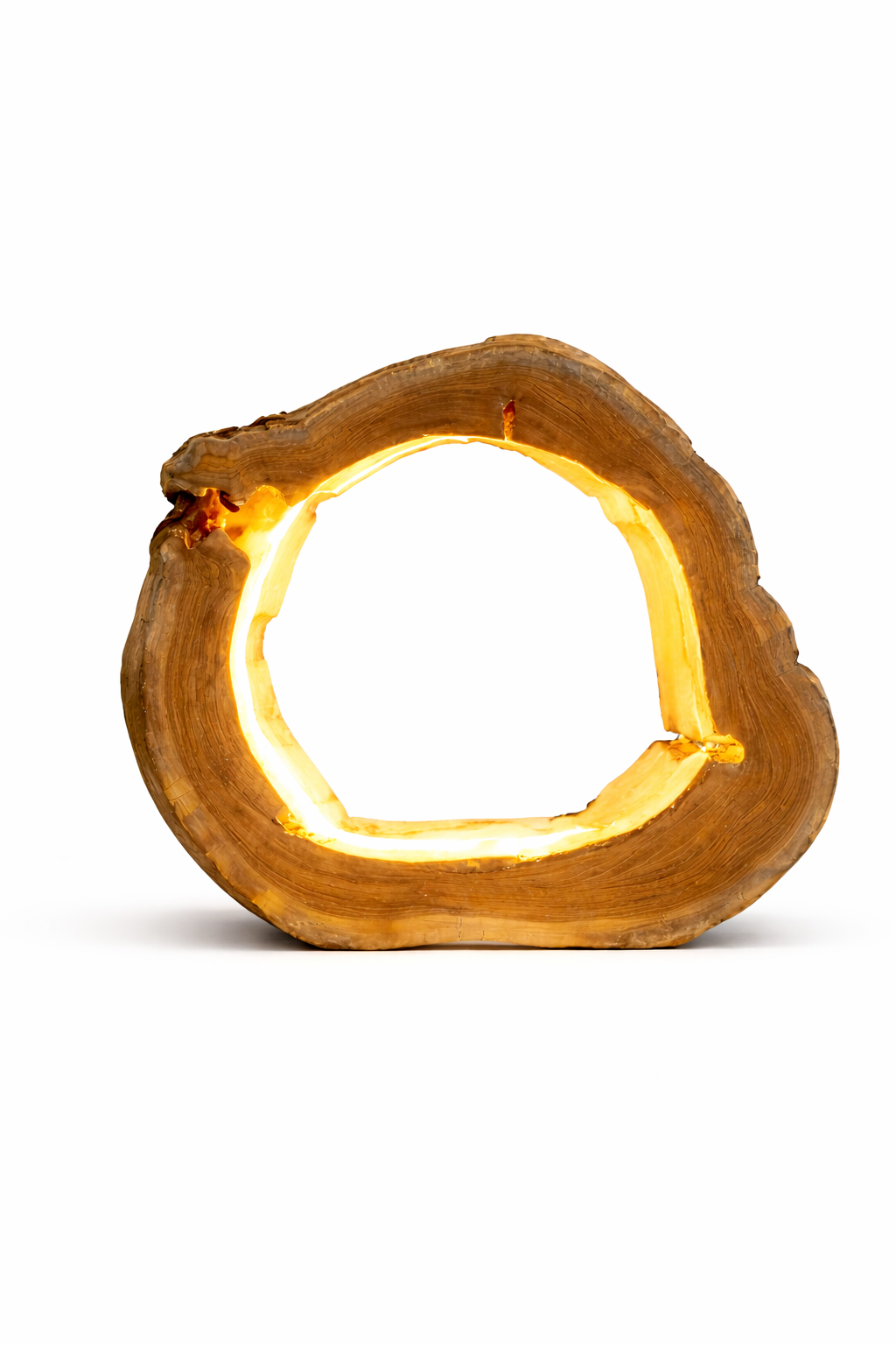 Baumscheibe Tischlampe NATURA LED mit integriertem LED-Band