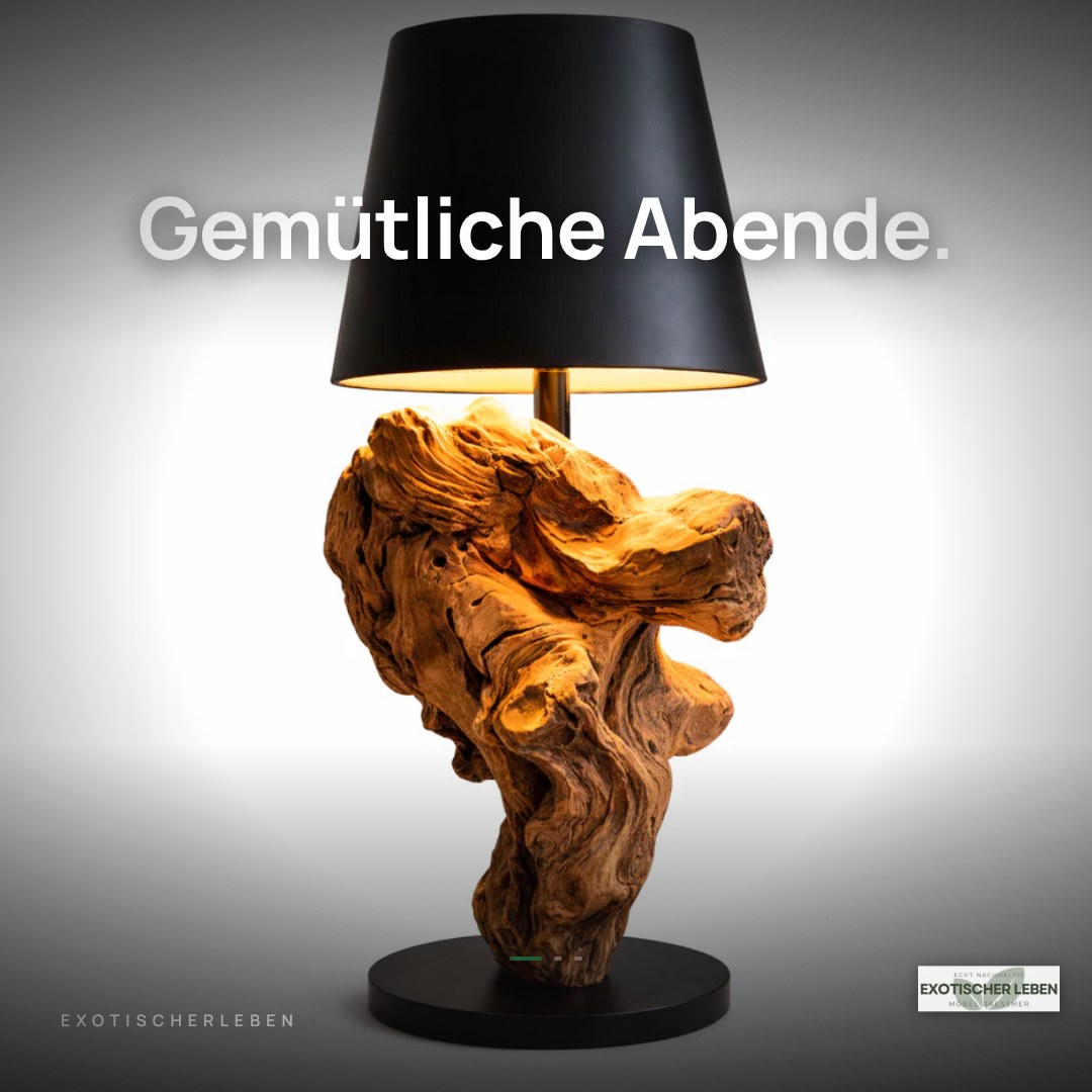 LED Akku Tischlampe SERA kabellos Schirm Schwarz