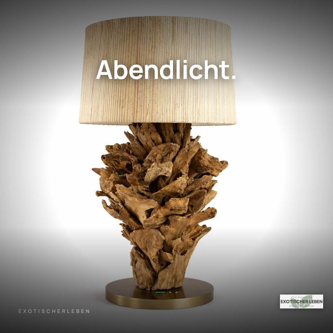 Tischlampe Wurzelholz FICUS Höhe 70 cm