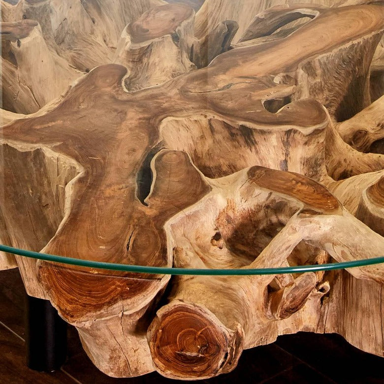 Couchtisch Wurzel NAGA inkl. Glasplatte Ø 100cm - Exotischerleben