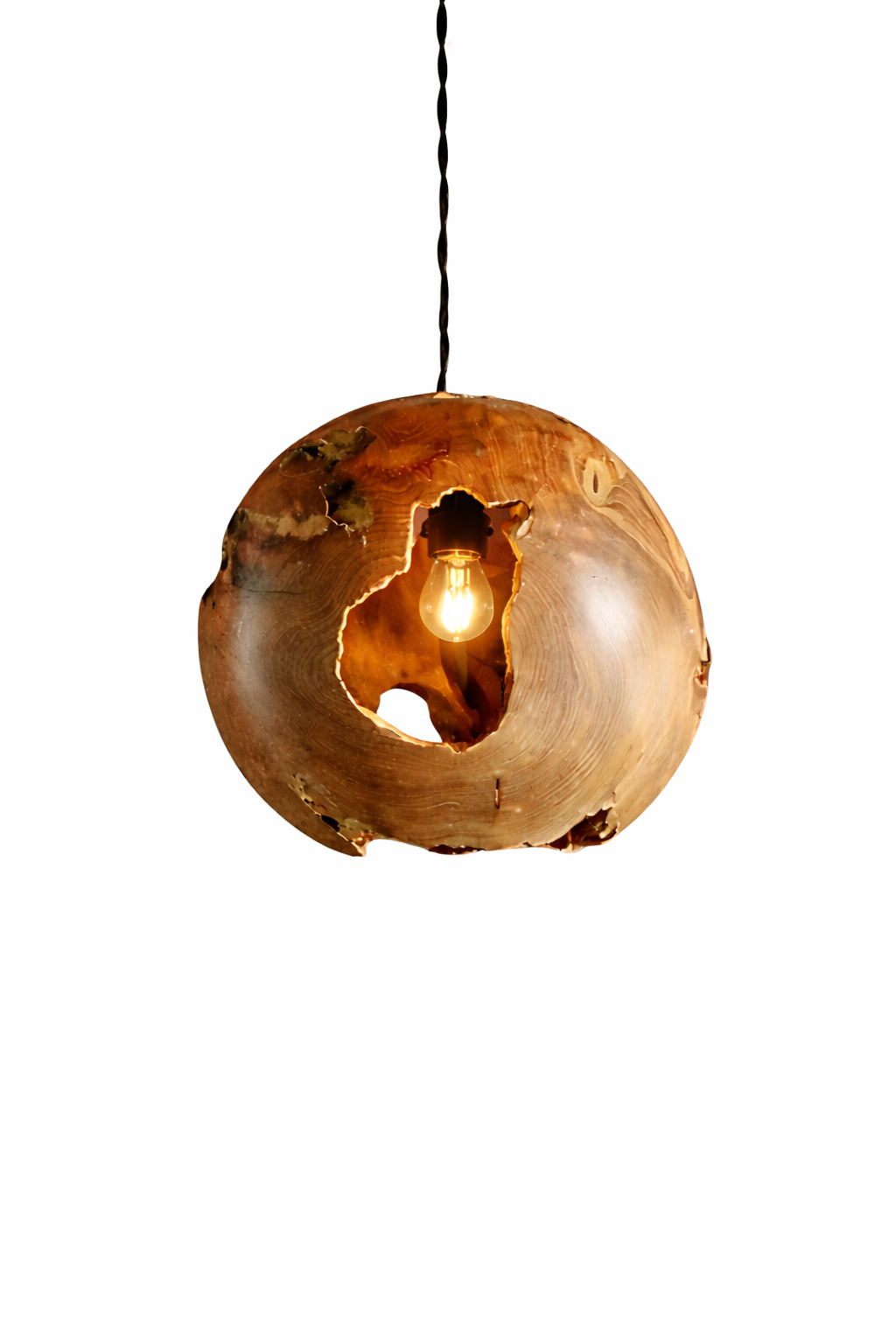 Wurzelholz Deckenlampe GEO