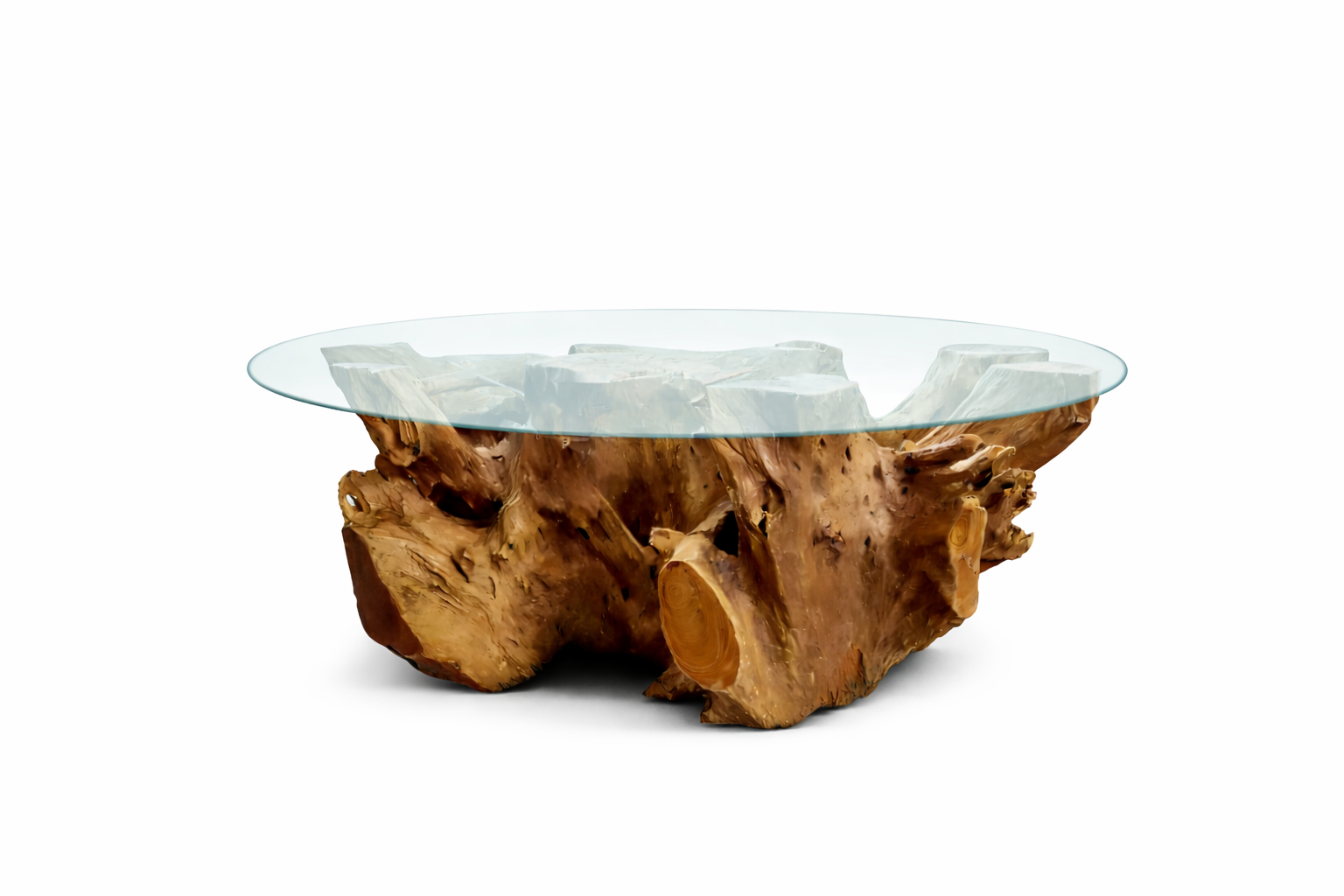 NAGA Couchtisch Wurzel rund Ø 120 cm inklusiv Glasplatte