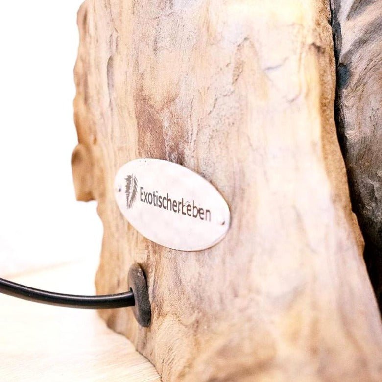 Bozza ta 'l-għeruq driftwood